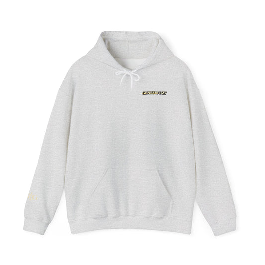 Jesus Not Pronouns Hoodie