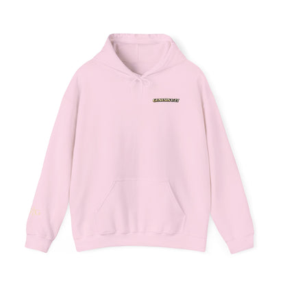 Jesus Not Pronouns Hoodie