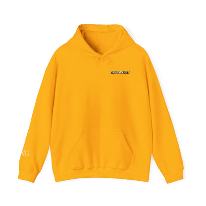 Jesus Not Pronouns Hoodie