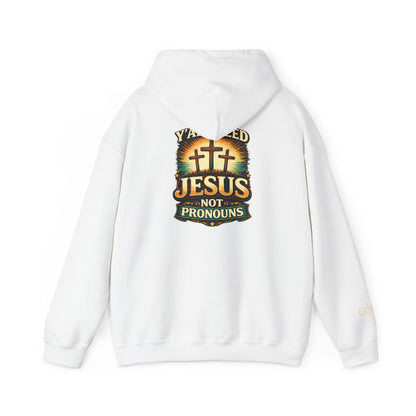 Jesus Not Pronouns Hoodie