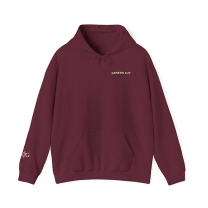 Jesus Not Pronouns Hoodie