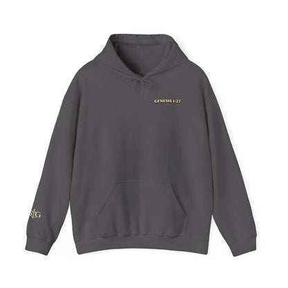 Jesus Not Pronouns Hoodie