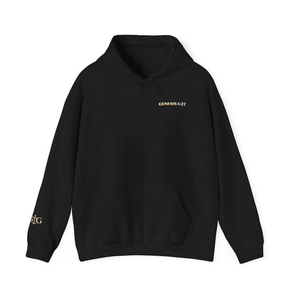 Jesus Not Pronouns Hoodie