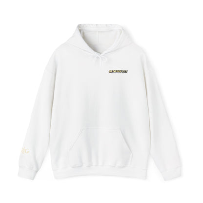 Jesus Not Pronouns Hoodie