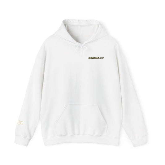 Jesus Not Pronouns Hoodie